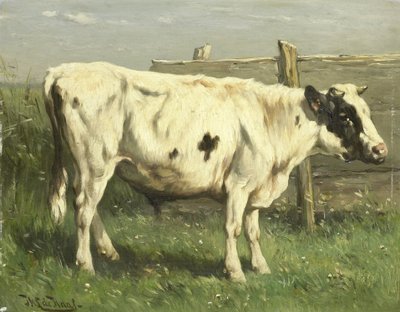 Jonge stier door Johannes Hubertus Leonardus de Haas