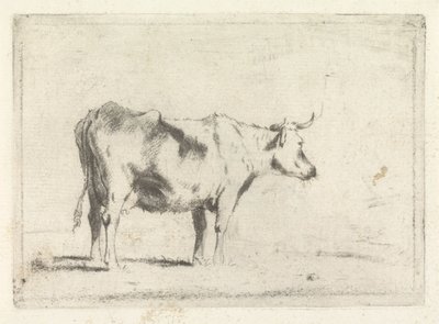 Koe, naar rechts door Johannes Janson (possibly)