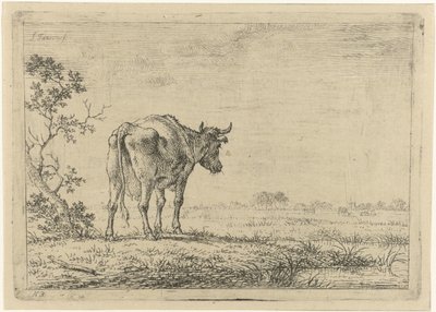 Koe in weiland door Johannes Janson