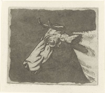 Koeienkop door Johannes Janson