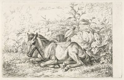 Liggend paard voor enkele planten door Johannes Mock