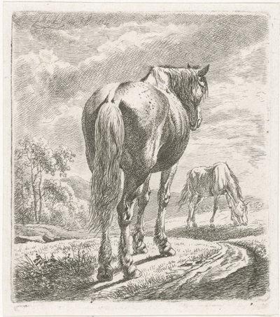 Paard van achteren gezien door Johannes Mock