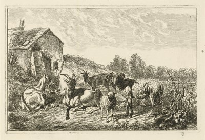 Vier geiten en een schaap bij een huis door Johannes Mock