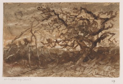 Boom bij zonsondergang door Johannes Tavenraat (signed by artist)