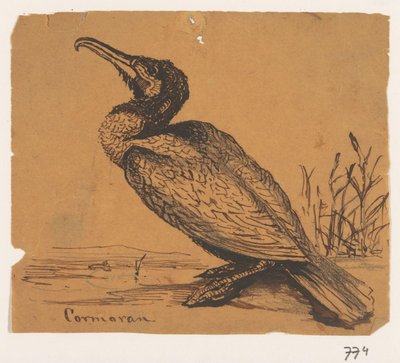 Aalscholver door Johannes Tavenraat