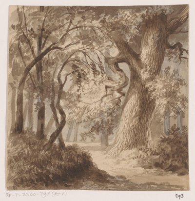 Boslandschap door Johannes Tavenraat