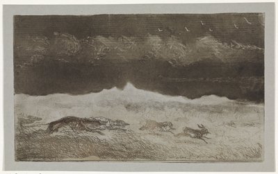 Hazenjacht door Johannes Tavenraat