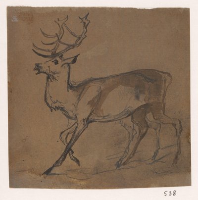 Hert door Johannes Tavenraat