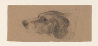 Kop van een hond, naar links door Johannes Tavenraat