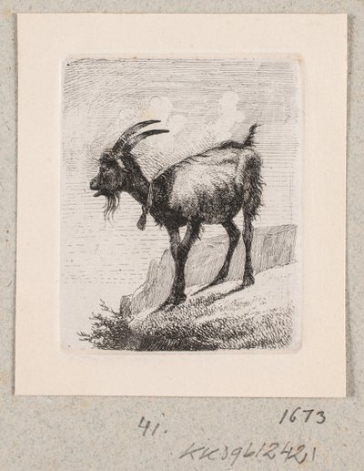 Een geit met bel door Johannes Wilhelm Zillen