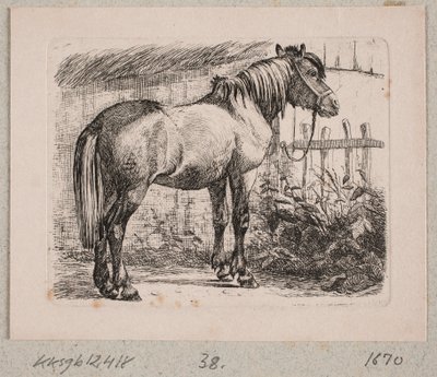 Een paard met halster door Johannes Wilhelm Zillen