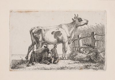 Een rustende en een staande koe door Johannes Wilhelm Zillen