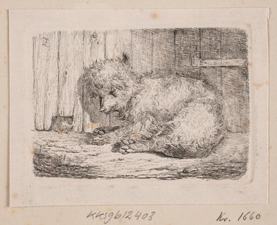 Een langharige hond door Johannes Wilhelm Zillen