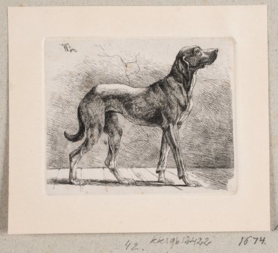 Een staande hond door Johannes Wilhelm Zillen