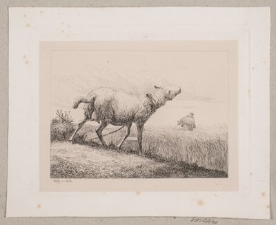 Een blèrend schaap door Johannes Wilhelm Zillen