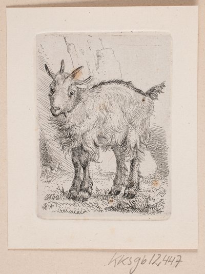 Een geitenlam door Johannes Wilhelm Zillen