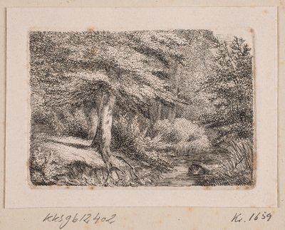Bospartij door Johannes Wilhelm Zillen