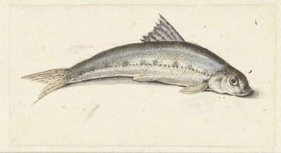 Gondel door Johannes le Francq van Berkhey
