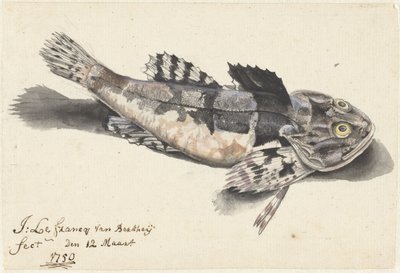 Zeedonderpad door Johannes le Francq van Berkhey