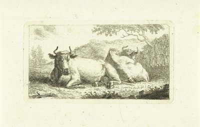 Twee liggende koeien door Johannes van Cuylenburgh