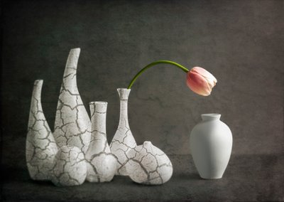 Roze tulpenvazen met barsten door John-Mei Zhong