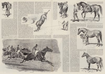 De carrière van een renpaard (gravure) door John (after) Charlton