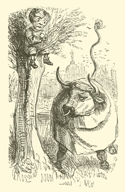 Stier en jongen (gravure) door John (after) Leech