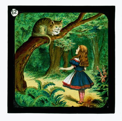 Alice in Wonderland, gekleurde lantaarnplaten door John (after) Tenniel