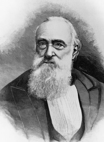 Portret van Agostino Depretis (1813-1887), Italiaanse staatsman en premier van het Koninkrijk Italië, gravure naar foto door Michele Schemboche (actief 1856-ca 1906) door Walter Charles Mills