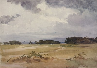Een veld met groepen bomen door John Absolon