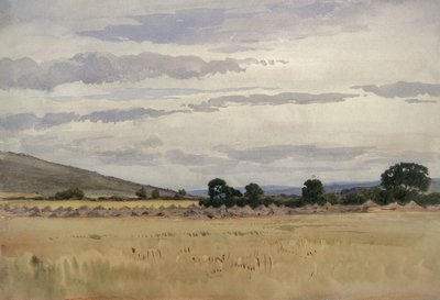 Landschap met Korenveld door John Absolon
