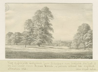 Lichfield Kathedraal - Uitzicht vanaf Aldershaw (verre): sepia tekening door John Allport