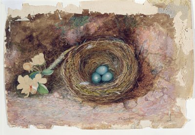 Vogelnest door John Atkinson Grimshaw