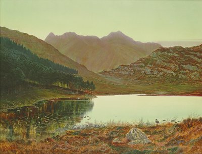 Blea Tarn door John Atkinson Grimshaw