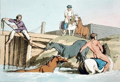 Baden van paarden, geëtst door de kunstenaar, gepubliceerd 1803 door John Augustus Atkinson
