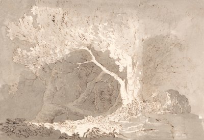 Boomstudie door John Baverstock Knight