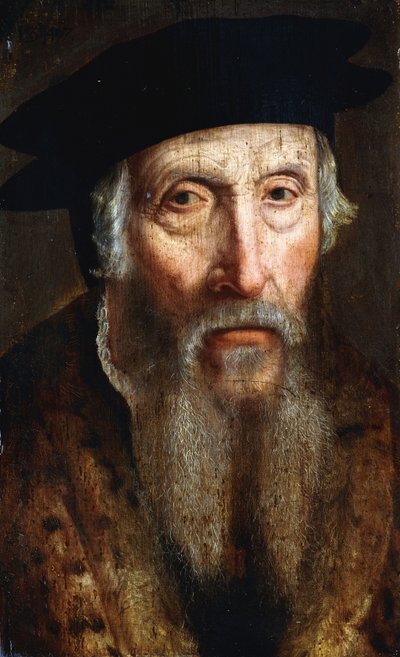 Portret van een bebaarde man, buste lengte, in een bont afgewerkte jas en zwarte hoed, c.1547 door John Bettes