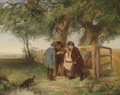 Het vogelnest door John Blake MacDonald