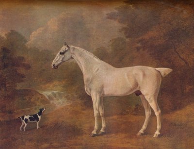 Een Vlooiengebeten Grijze en een Gevlekte Terrier door John Boultbee