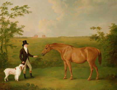 Een Heer met een Witte Hond en een Kastanjebruine Merrie in een Landschap door John Boultbee