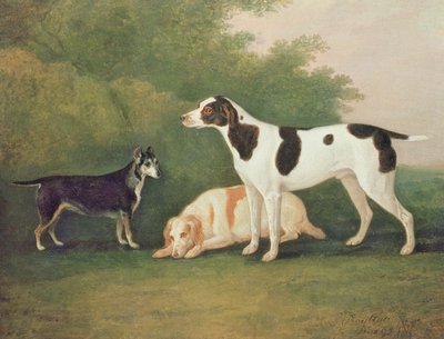 Drie honden in een landschap door John Boultbee