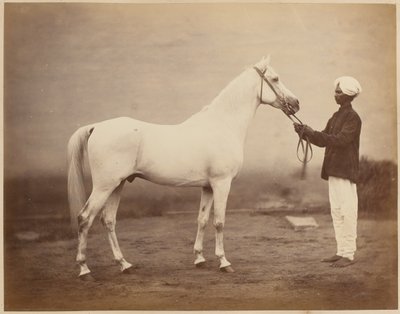 Luitenant-generaal Sir Frederick Sleigh Roberts