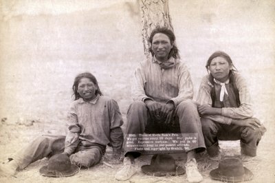 Drie Lakota tienerjongens in westerse kleding, 1891 door John C. H. Grabill