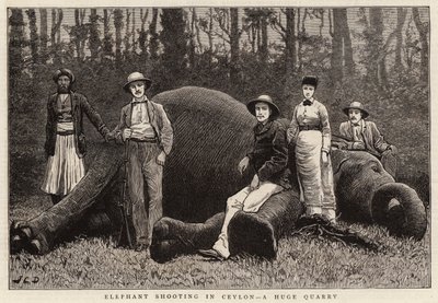 Olifantenjacht in Ceylon, een Enorme Buit door John Charles Dollman
