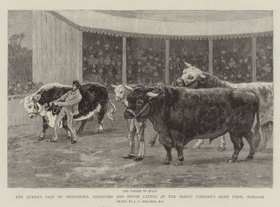 De verkoop van Shorthorn, Hereford en Devon vee van de koningin op de Prince Consort