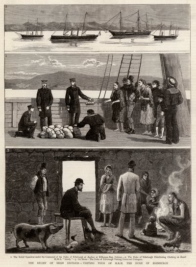 De Hulpverlening bij Ierse Nood, Bezoekstoer van ZKH de Hertog van Edinburgh door John Charles Dollman