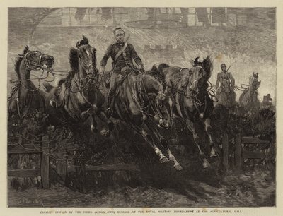 Cavalerievoorstelling door de Derde (King