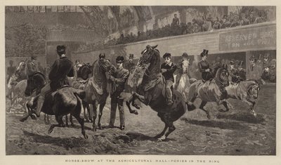 Paardenshow in de Agricultural Hall, pony