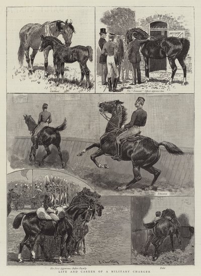 Leven en carrière van een militaire charger door John Charlton