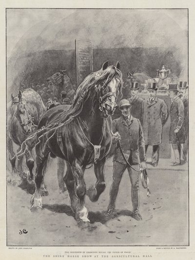 De Shire Horse Show in de Agricultural Hall door John Charlton